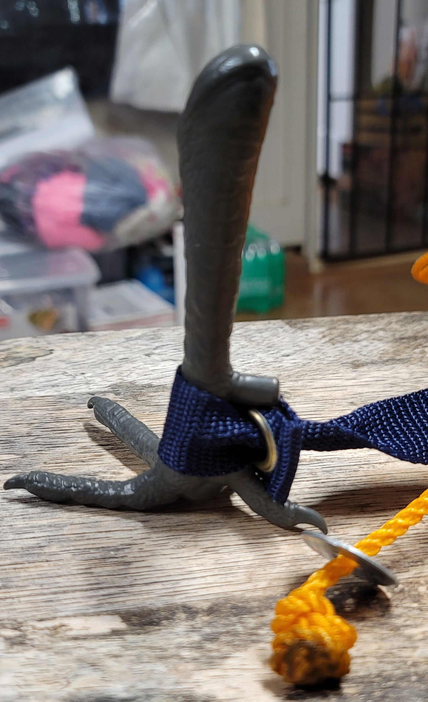5ft Tie cord