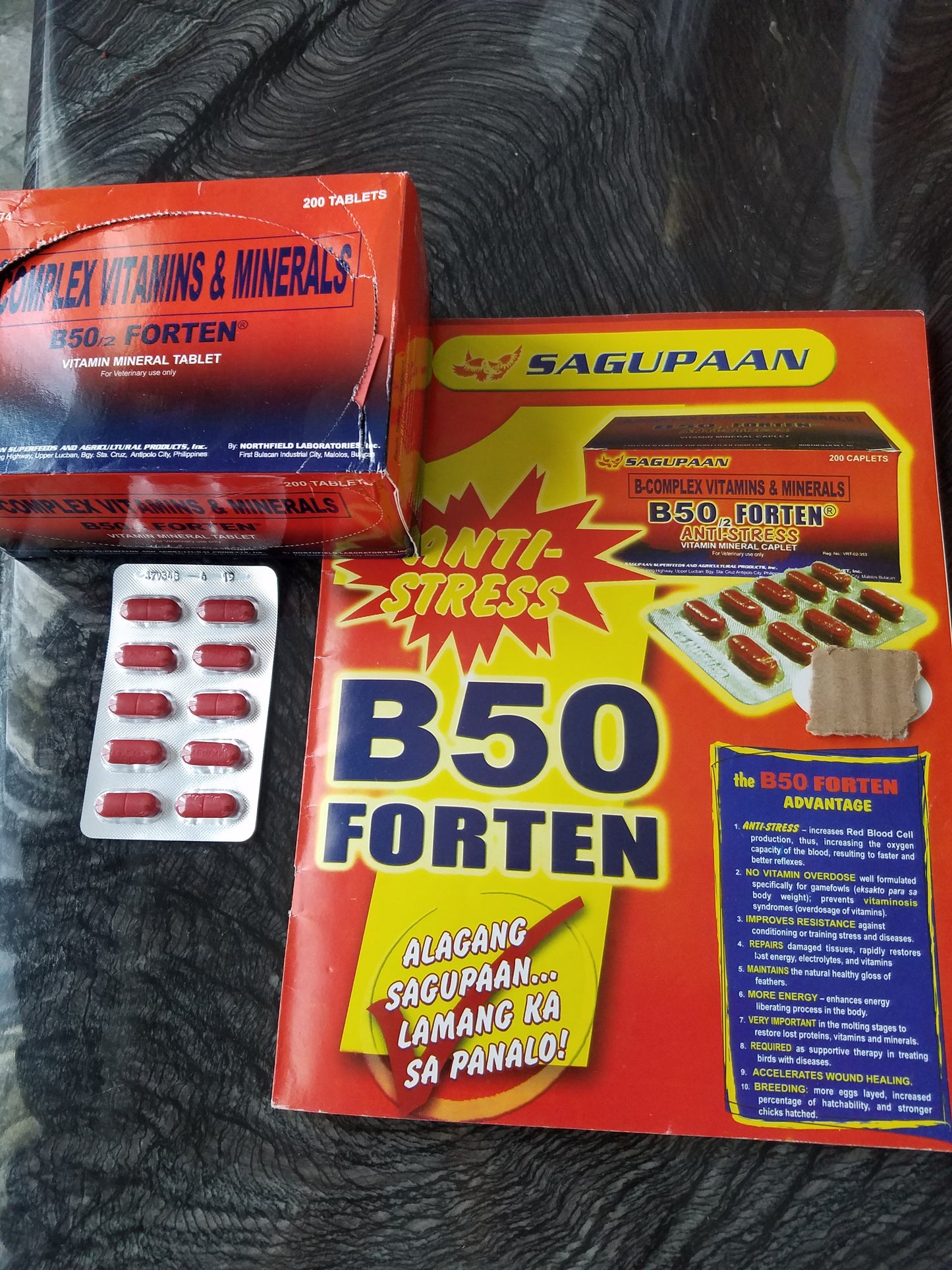 B50/2 Forten