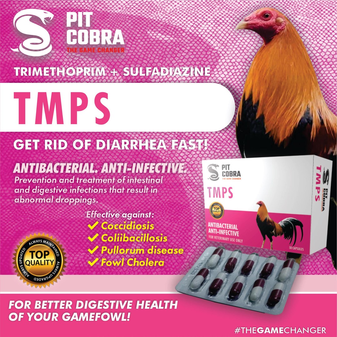 T M P S