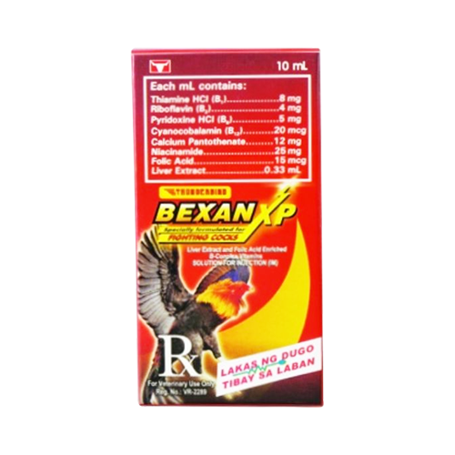 BEXAN XP