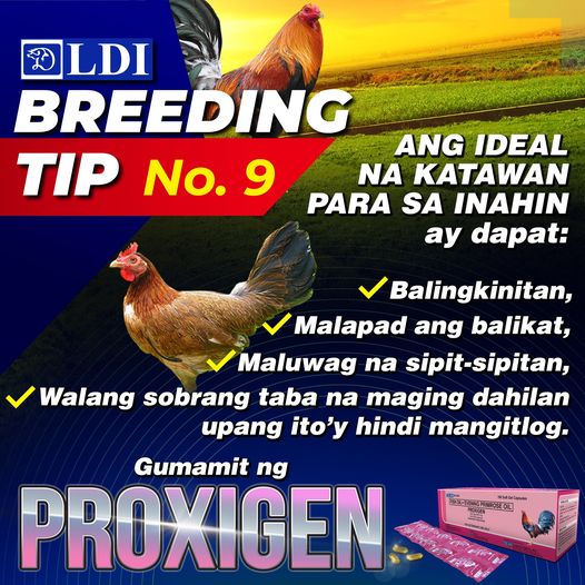 PROXIGEN
