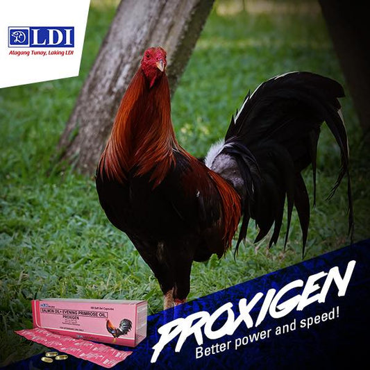 PROXIGEN