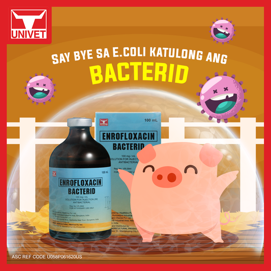 Bacterid